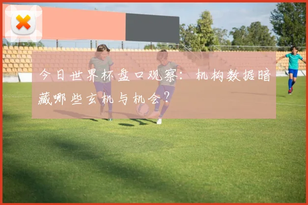 今日世界杯盘口观察：机构数据暗藏哪些玄机与机会？