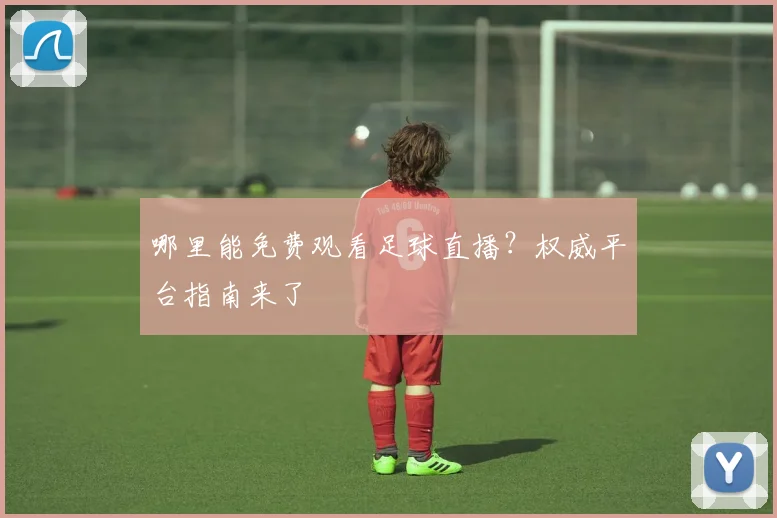 哪里能免费观看足球直播？权威平台指南来了